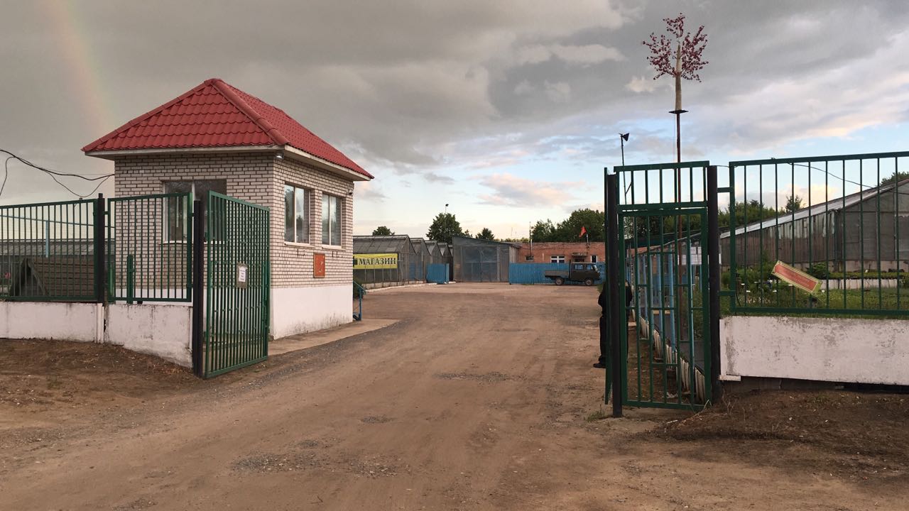sadovyy-centr-ostrovtsy-07